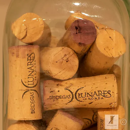 Bodega El Juncal Hotel Ronda