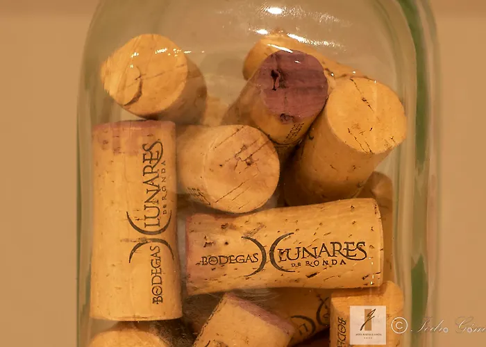 Bodega El Juncal 호텔 론다