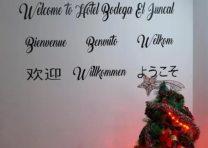 Bodega El Juncal 호텔